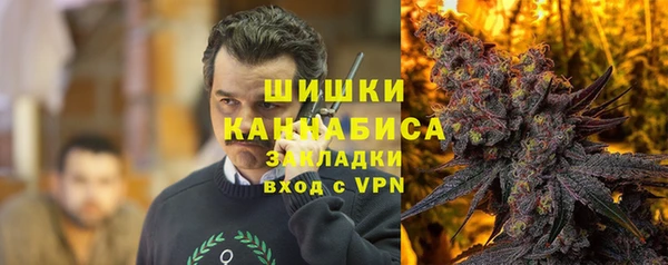 гидра Балахна